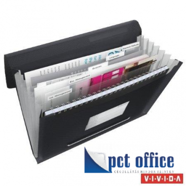 Irattartó Gumis Harmonikás mappa 6 részes A4 Esselte Vivida Fekete