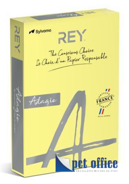 Másolópapír Color A4 160 gr Rey Adagio Pasztell sárga