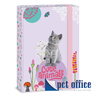 Füzetbox A4 Cute Animals- Kitten Ars Una