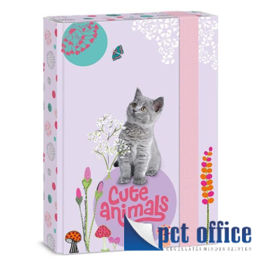 Füzetbox A5 Cute Animals- Kitten Ars Una