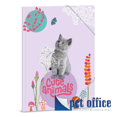 Gumipántos mappa A4 Cute Animals - Kitten Ars Una