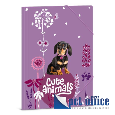 Gumipántos mappa A4 Cute Animals - Puppy Ars Una