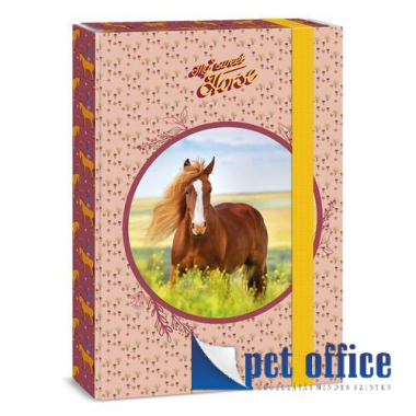 Füzetbox A4 My sweet horse Ars Una