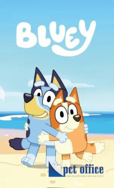 Tisztasági csomaghoz törölköző,kéztörlő 30x50 cm Bluey Cozy