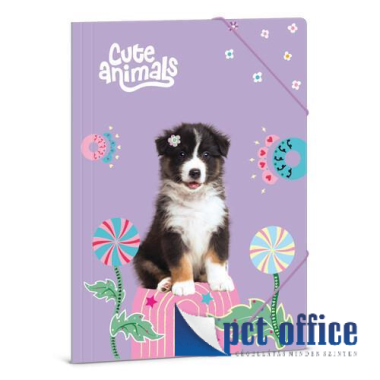 Gumipántos mappa A4 Cute Animals - Aussie Kutyus Ars Una