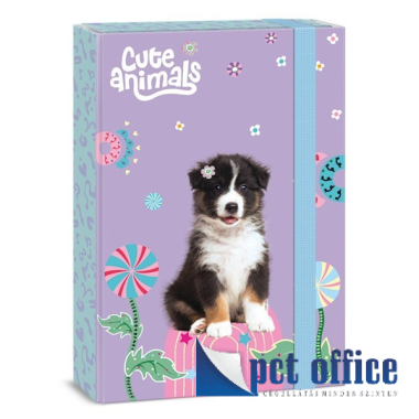 Füzetbox A4 Cute Animals - Aussie Kutyus Ars Una