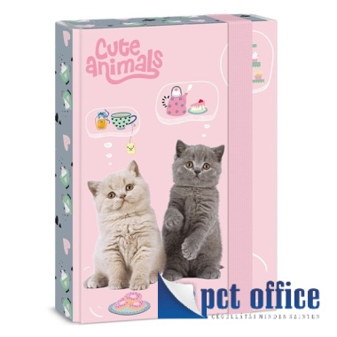 Füzetbox A5 Cute Animals - Tea Party Cicák Ars Una