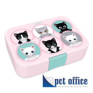 Uzsonnásdoboz osztott Think Pink Ars Una