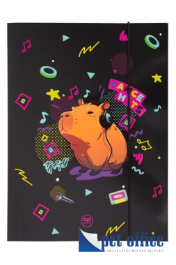 Gumipántos mappa A4 CoolPack First Capybara 2026.